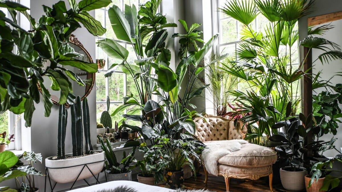 Home Page Image